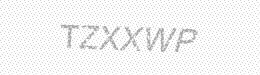 Visual security code — type the characters shown in the image