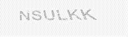Visual security code — type the characters shown in the image
